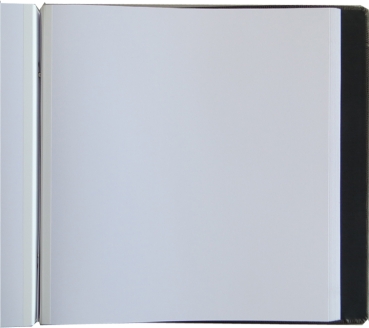 2 RPA 170 Struzzo hellgrau